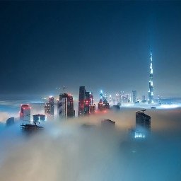 dylanthomas2011's profile picture. 