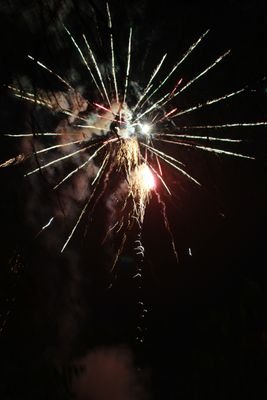 sam__0529's profile picture. 