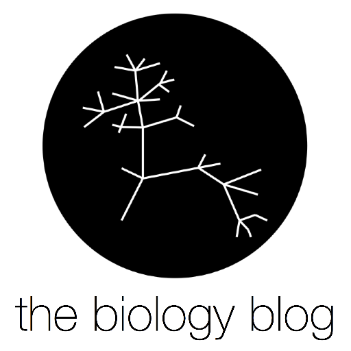 Evolutionary medicine, Molecular & cell biology news, articles and tips. / All posts reflect the opinion of the Biology Blog Team