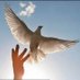 فله عسيري (@fulla99638766) Twitter profile photo فله عسيري (@fulla99638766) Twitter profile photo