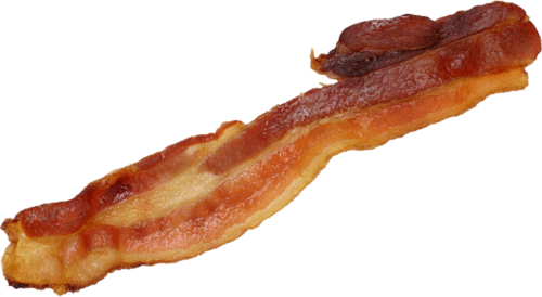 bacolicious's profile picture. Putting bacon on web sites since late 2008