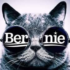 MelissaLandrus's profile picture. The older I get, the more radical I become! Join me in saving the world because it won't save itself.