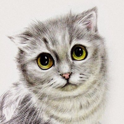 rabbi52907270's profile picture. 