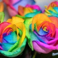 💜 (@jw_ytkhn) 's Twitter Profile