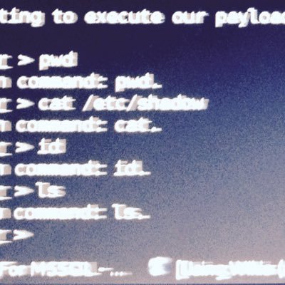 p0f_x's profile picture. 