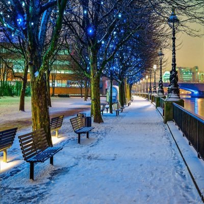 moonflower109's profile picture. 