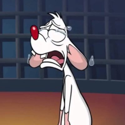 ghadoor96's profile picture. 