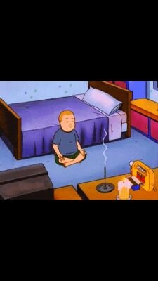 ninersgowild's profile picture. 흔들리는 나무들과