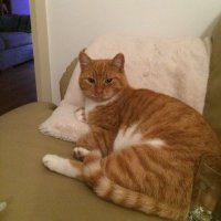Derek McGrath (@mcgderek) 's Twitter Profile