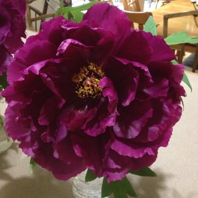 Leona45818505's profile picture. 