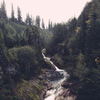 Satisfying Instincts (@satisfyinginsti) 's Twitter Profile