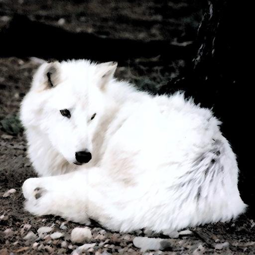 FlawlessWolf109's profile picture. Asah dood