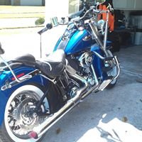 birdsbud's profile picture. 