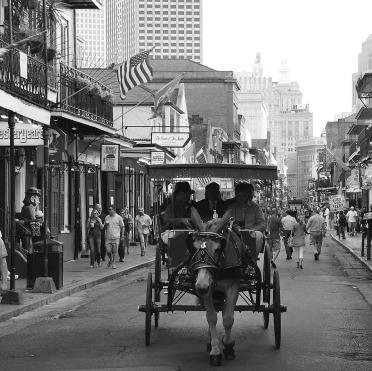 BlissfullInstin's profile picture. Thank you for following Blissful Instincts