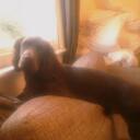 Tom Seward - @tisque - Twitter