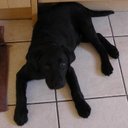 Joe Eaton - @Streamteam_Joe - Twitter