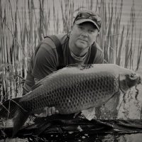 Craig Banks(@CarpStudy) 's Twitter Profile Photo