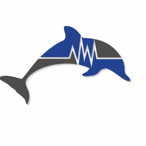 Decoding marine mammal communication. Listen to the ocean's secrets with our global network of stations.