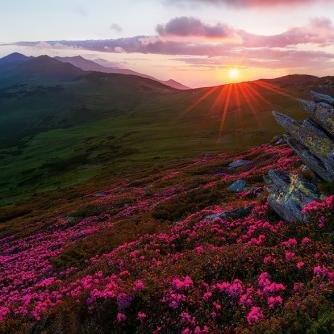 RestfulSenses's profile picture. Thank you for following Restful Senses