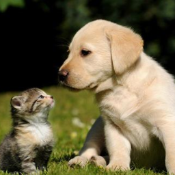 yukinoria61's profile picture. 勇気と希望を持って　　　　　　　　　
人生は楽しく生きたい