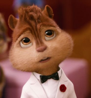 Hello there! I'm a huge fan of the Chipmunks | 16 year old Boy | I upload chipmunk songs to youtube | Member of @RedstoneClan | #AlvinMovie #ALVINNN