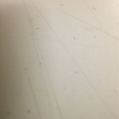 Semira17452303's profile picture. 