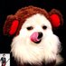 たっぷん (@everset_tappun) Twitter profile photo たっぷん (@everset_tappun) Twitter profile photo