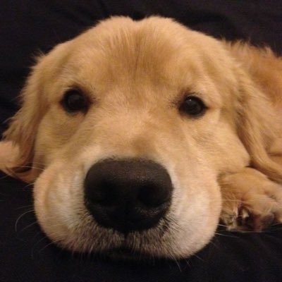 RnRDad's profile picture. 