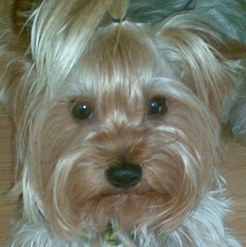 Mondialautos's profile picture. Desde hace 6 años ofreciendo nuestros servicios en la red! La forma más sencilla y segura de reservar un coche de alquiler, y a unos precios irresistibles!