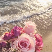 موضي العليان (@moodi_alolayyan) Twitter profile photo