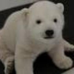 株吉のプロフィール写真
