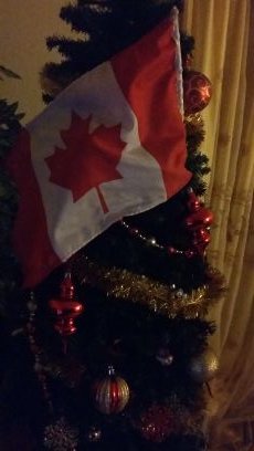 OBGYNConsultant's profile picture. FICOG,FIBMS,DGO,MBCHB