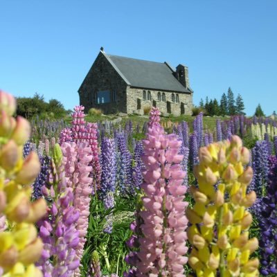 小さな書道教室。趣味:音楽・読書。美術館・博物館・日本の世界遺産をできるだけ観たい。子育て修了間際、思えば長い時間を過ごしたもんだ。