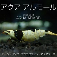 アルモール (@aqua_armor_2012) 's Twitter Profile