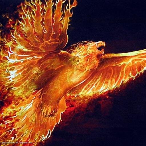 Doctorwhofan82's profile picture. You've got to hand it to short people, because we can't reach it anyway.