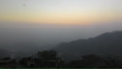 willingstudent9's profile picture. 