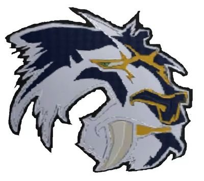 Official Twitter for the Lions of the EASHL. Located in the East Division of the North American conference.