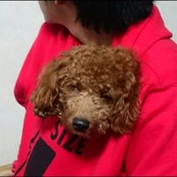 聡子☆ (@satokokusumoto) Twitter profile photo