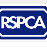 RSPCA Isle of Thanet(@RSPCAThanet) 's Twitter Profileg