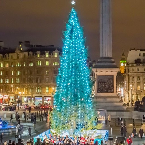 The most famous Christmas tree in the UK. Come and see me in December!