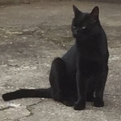 ksk_0311's profile picture. 水中 → 水高 → 岩大 農生/同袍寮/有農研/サイクリング部 ヘタレはもはや治らん 仙台勤務