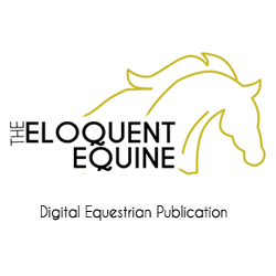 EloquentEquine Profile Picture