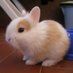 DL (@decors2522) Twitter profile photo DL (@decors2522) Twitter profile photo
