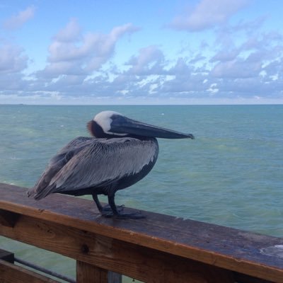 daemerin's profile picture. 