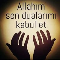 sahinkamil78's profile picture. 