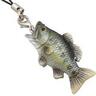 grandfishery's profile picture. アートに目覚めた訳ではないけどキレイな一点ものが好き。