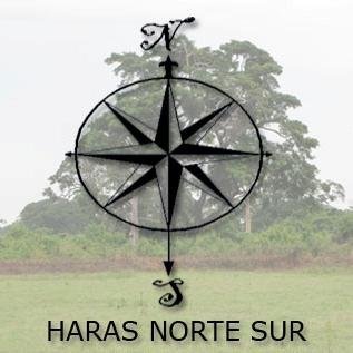 Haras Norte Sur, empresa dedicada a la cría de caballos purasangre de carreras en Venezuela