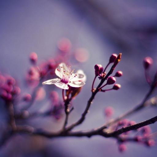 zakariafallous's profile picture. 