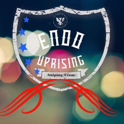 UprisingEndo's profile picture. CoD Sniping / Trickshotting