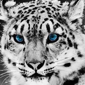 nanarimiyamoto's profile picture. コウイチ